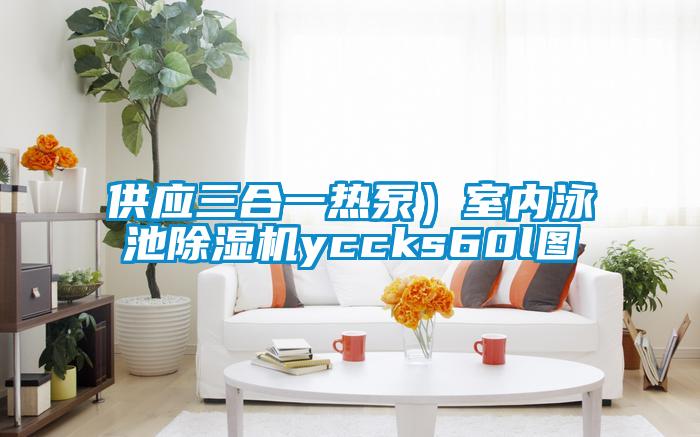 供應三合一熱泵)室內泳池除濕機yccks60l圖