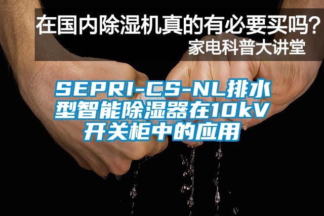 SEPRI-CS-NL排水型智能除濕器在10kV開關柜中的應用