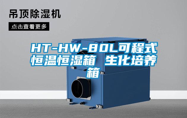 HT-HW-80L可程式恒溫恒濕箱 生化培養箱