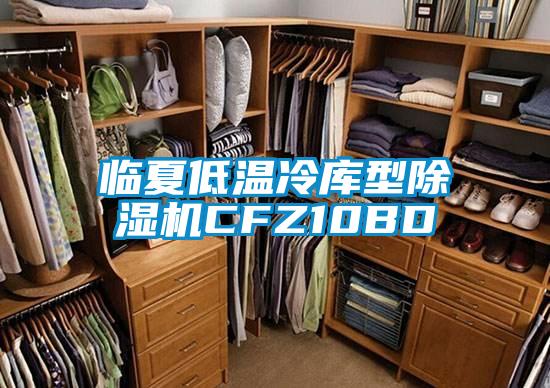 臨夏低溫冷庫型除濕機(jī)CFZ10BD