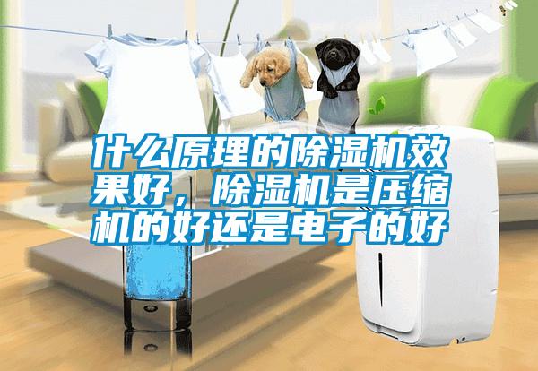 什么原理的除濕機效果好,除濕機是壓縮機的好還是電子的好