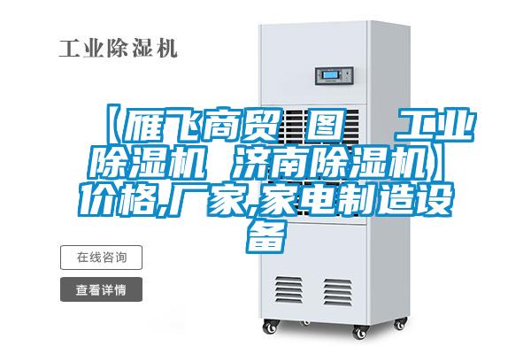 【雁飛商貿 圖 工業除濕機 濟南除濕機】價格,廠家,家電制造設備