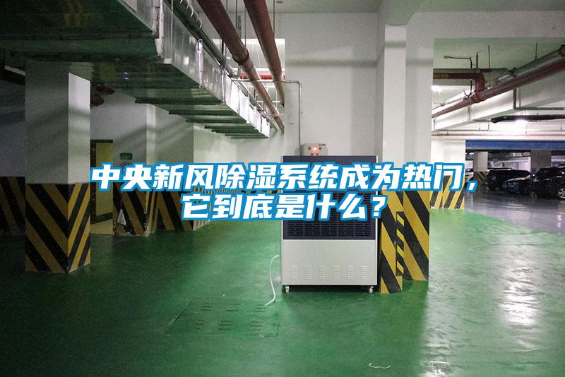 中央新風除濕系統成為熱門,它到底是什么?