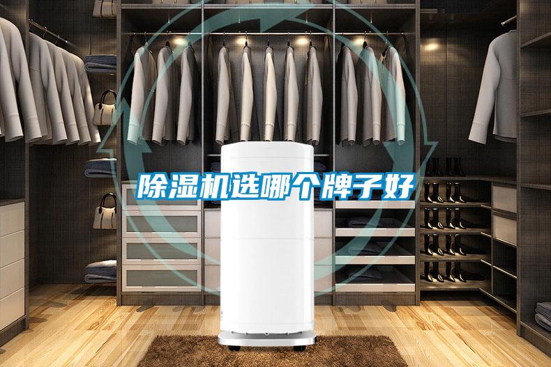 除濕機選哪個牌子好