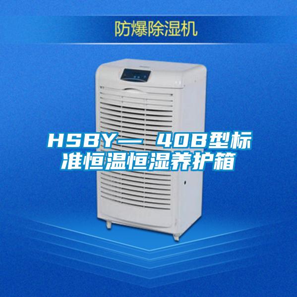 HSBY— 40B型標準恒溫恒濕養護箱