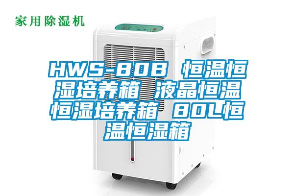HWS-80B 恒溫恒濕培養箱 液晶恒溫恒濕培養箱 80L恒溫恒濕箱