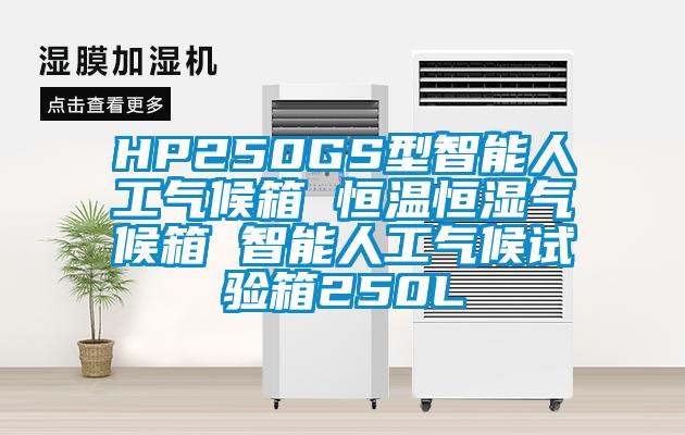 HP250GS型智能人工氣候箱 恒溫恒濕氣候箱 智能人工氣候試驗箱250L