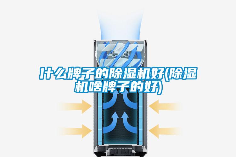 什么牌子的除濕機好(除濕機啥牌子的好)
