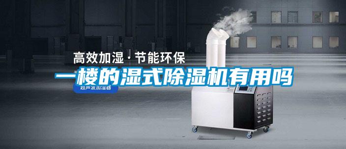 一樓的濕式除濕機有用嗎