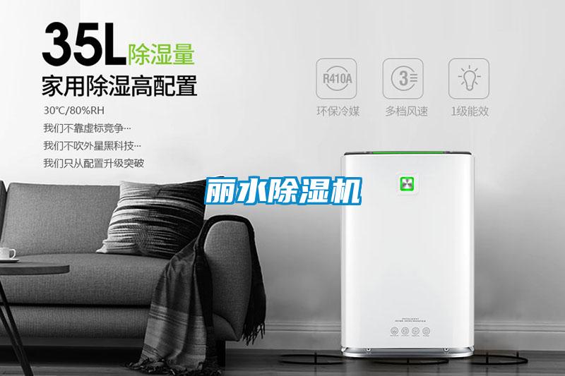麗水除濕機
