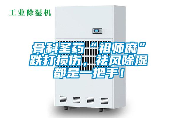 骨科圣藥“祖師麻”跌打損傷,祛風除濕都是一把手!