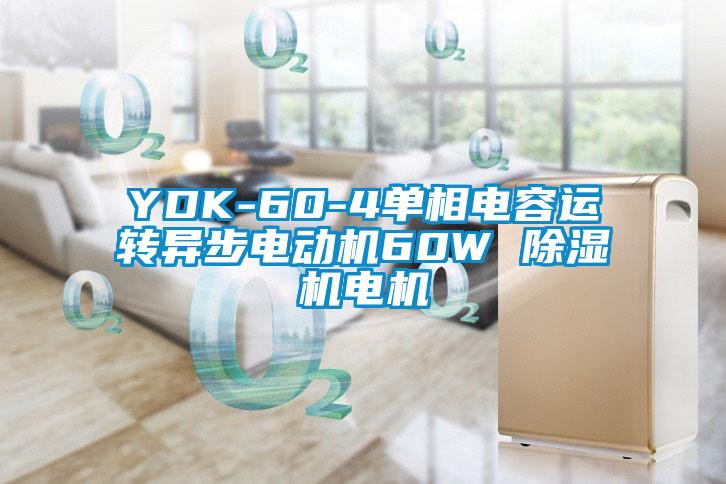 YDK-60-4單相電容運轉(zhuǎn)異步電動機(jī)60W 除濕機(jī)電機(jī)