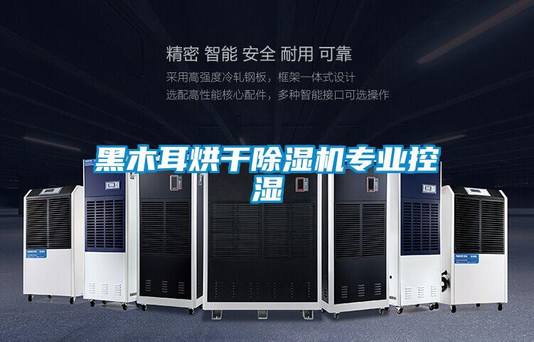 黑木耳烘干除濕機專業(yè)控濕