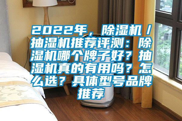 2022年,除濕機/抽濕機推薦評測:除濕機哪個牌子好?抽濕機真的有用嗎?怎么選?具體型號品牌推薦