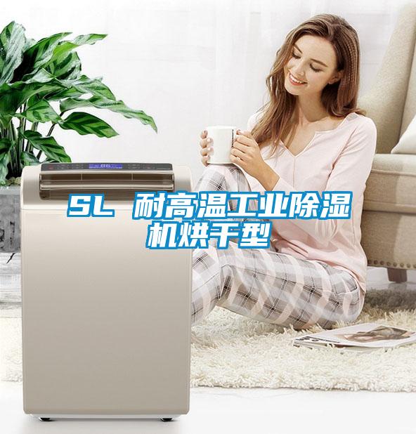 SL 耐高溫工業除濕機烘干型