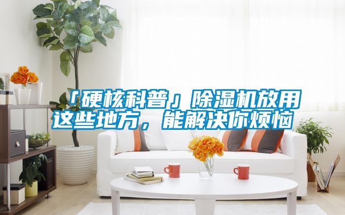 「硬核科普」除濕機放用這些地方,能解決你煩惱