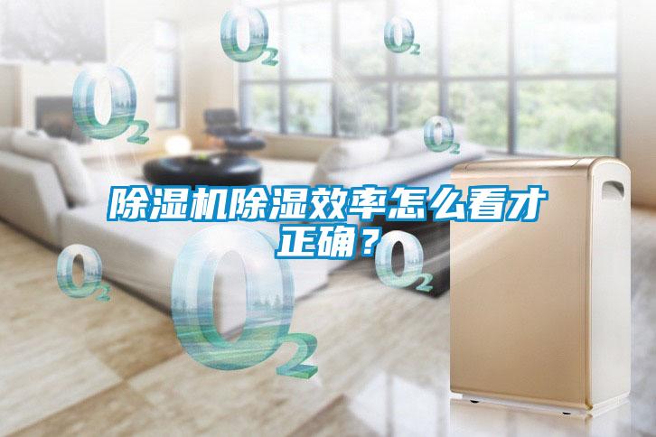 除濕機除濕效率怎么看才正確?