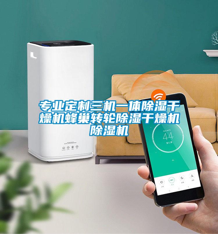 專業定制三機一體除濕干燥機蜂巢轉輪除濕干燥機除濕機