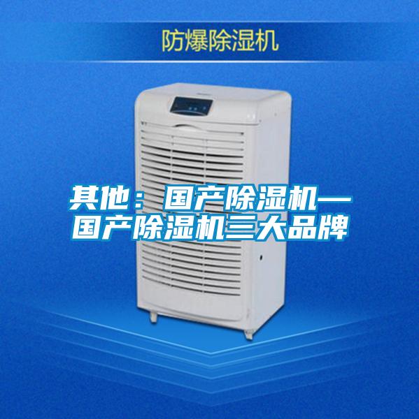 其他:國產(chǎn)除濕機(jī)—國產(chǎn)除濕機(jī)三大品牌