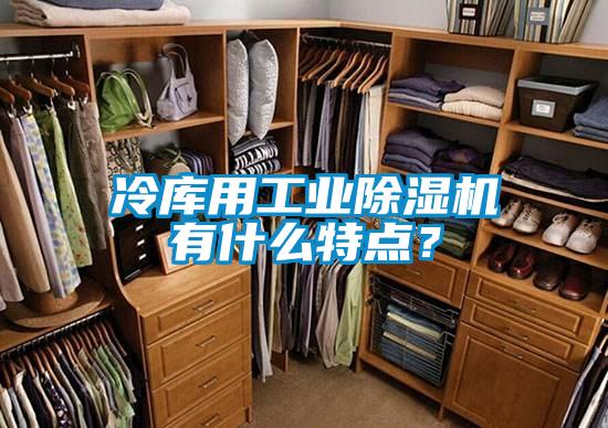 冷庫用工業除濕機有什么特點?