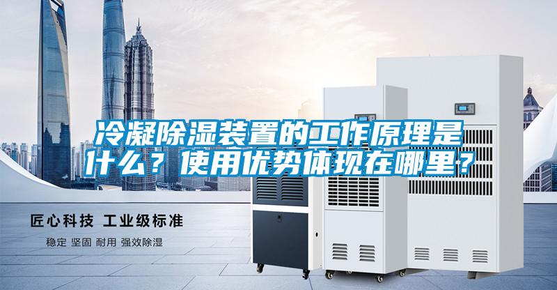 冷凝除濕裝置的工作原理是什么？使用優(yōu)勢體現(xiàn)在哪里？
