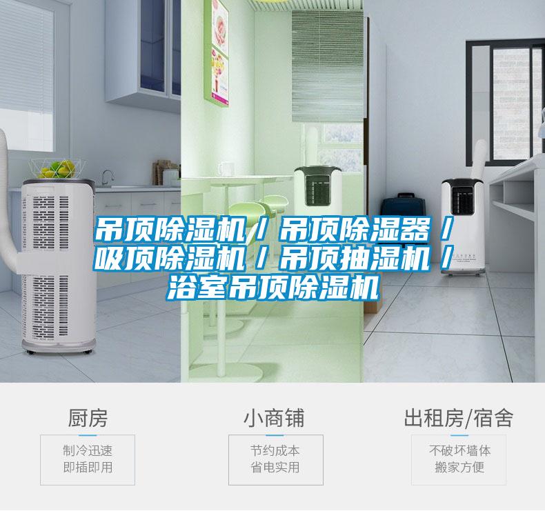 吊頂除濕機(jī)／吊頂除濕器／吸頂除濕機(jī)／吊頂抽濕機(jī)／浴室吊頂除濕機(jī)