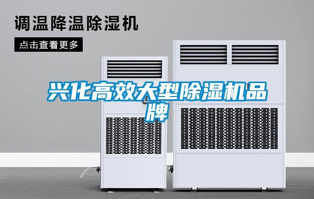興化高效大型除濕機品牌