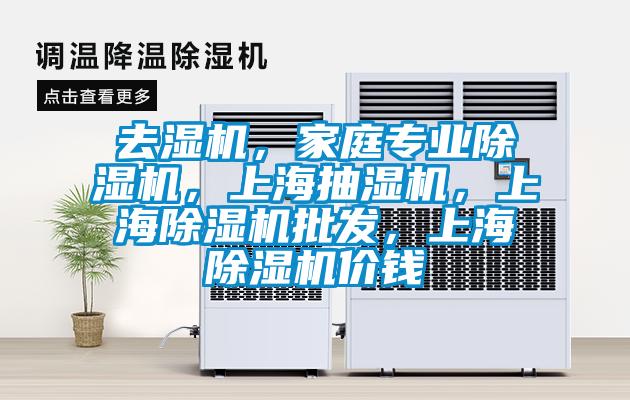 去濕機，家庭專業除濕機，上海抽濕機，上海除濕機批發，上海除濕機價錢