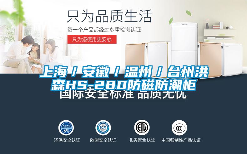 上海/安徽/溫州/臺州洪森HS-280防磁防潮柜