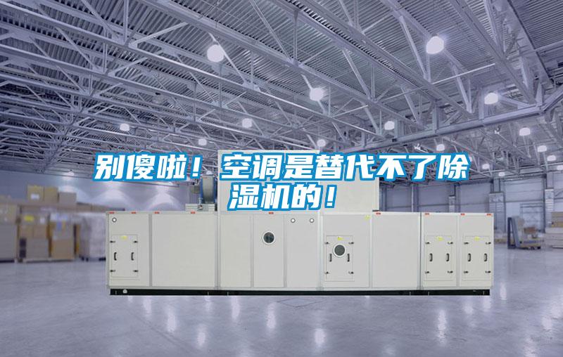 別傻啦!空調是替代不了除濕機的!