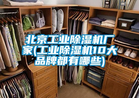 北京工業除濕機廠家(工業除濕機10大品牌都有哪些)