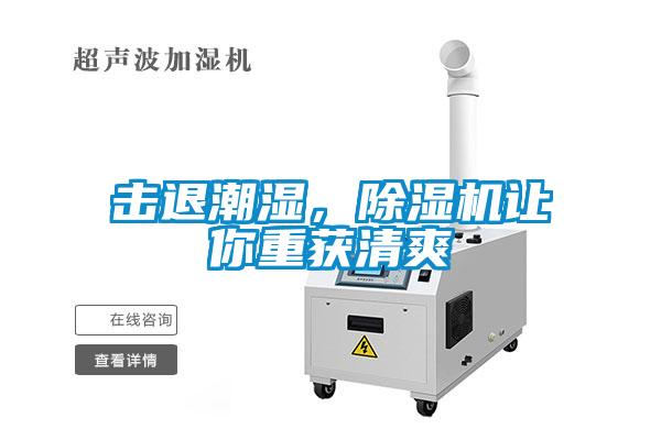 擊退潮濕,除濕機讓你重獲清爽