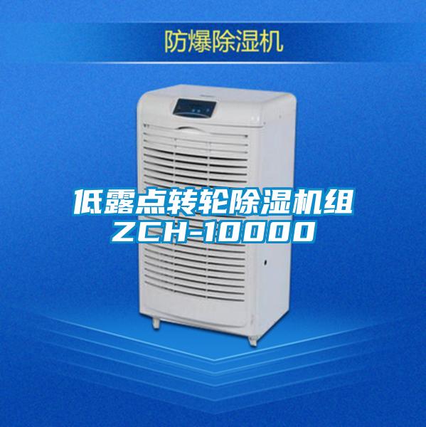 低露點轉輪除濕機組ZCH-10000