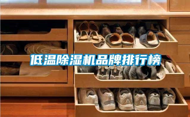低溫除濕機(jī)品牌排行榜
