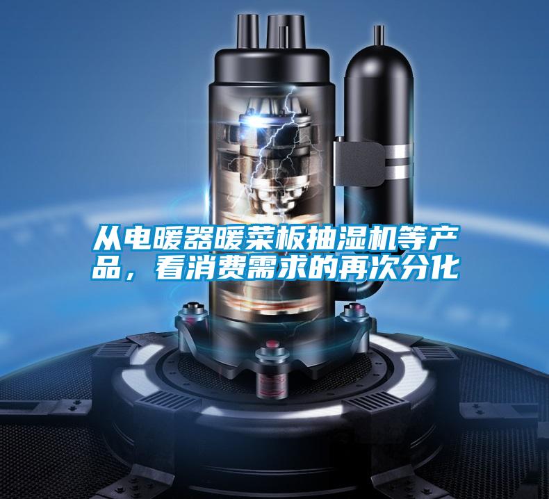 從電暖器暖菜板抽濕機(jī)等產(chǎn)品,看消費(fèi)需求的再次分化