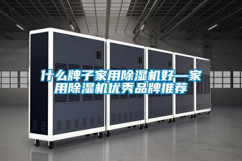 什么牌子家用除濕機好—家用除濕機優秀品牌推薦