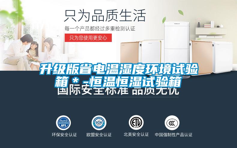 升級版省電溫濕度環境試驗箱*-恒溫恒濕試驗箱
