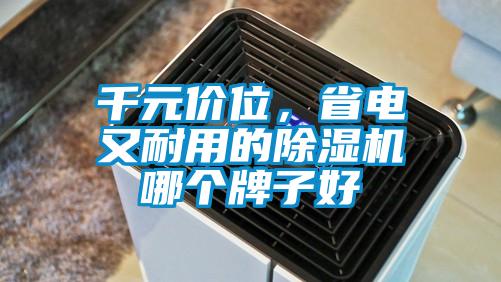 千元價位,省電又耐用的除濕機哪個牌子好