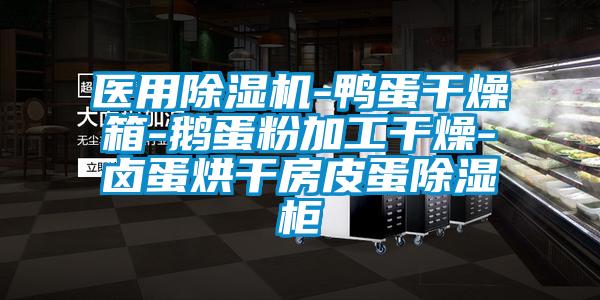 醫用除濕機-鴨蛋干燥箱-鵝蛋粉加工干燥-鹵蛋烘干房皮蛋除濕柜