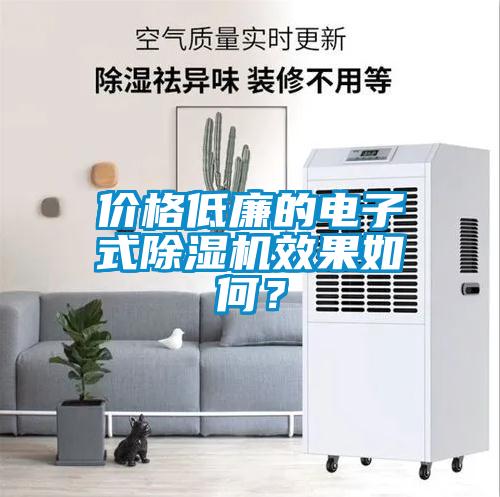 價格低廉的電子式除濕機效果如何?