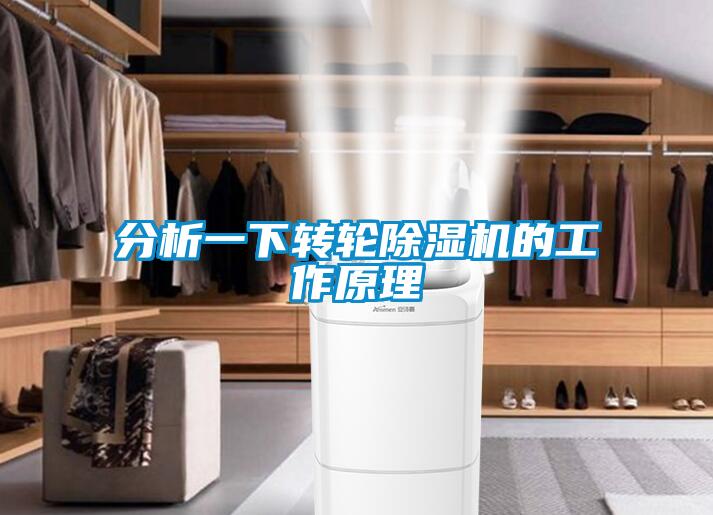 分析一下轉(zhuǎn)輪除濕機的工作原理