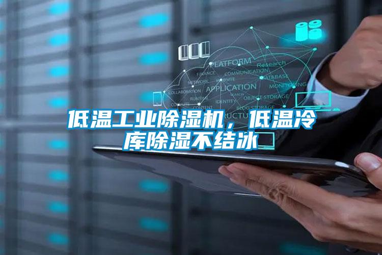 低溫工業(yè)除濕機，低溫冷庫除濕不結冰