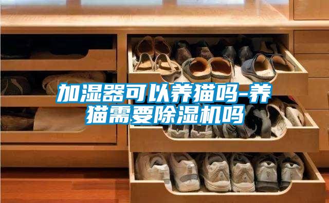 加濕器可以養貓嗎-養貓需要除濕機嗎