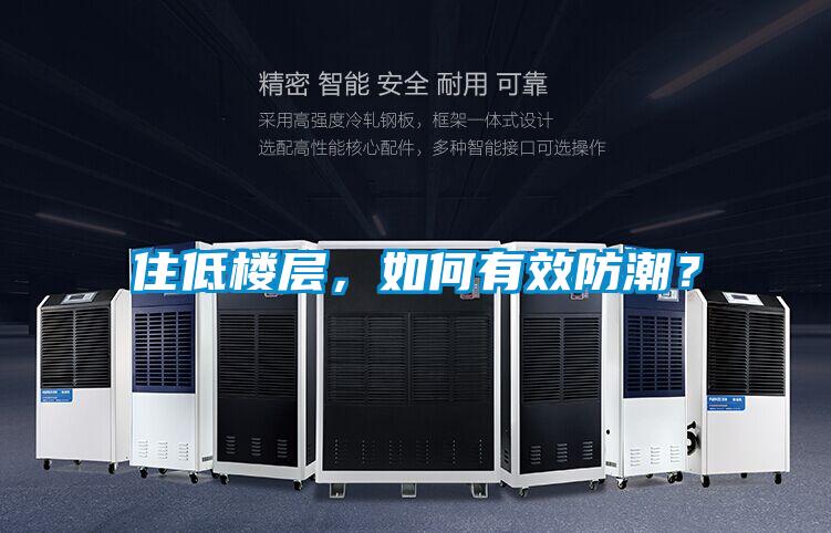 住低樓層,如何有效防潮?