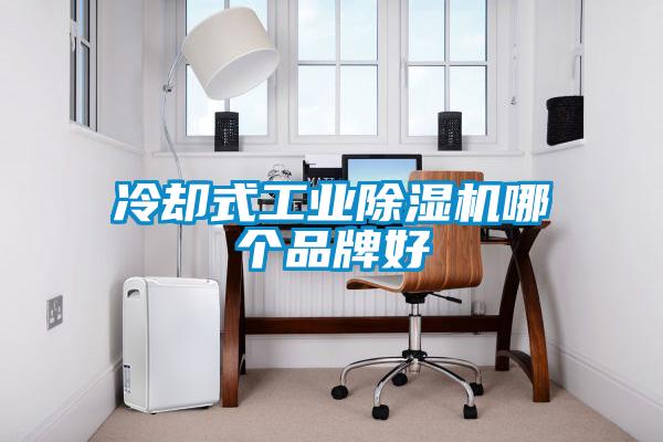 冷卻式工業除濕機哪個品牌好
