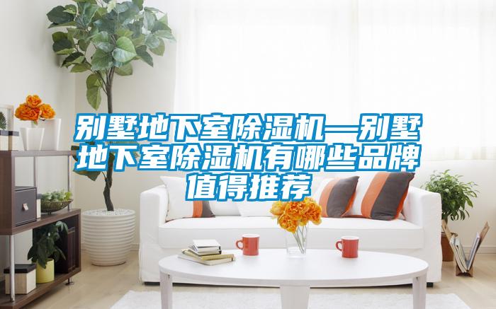 別墅地下室除濕機—別墅地下室除濕機有哪些品牌值得推薦