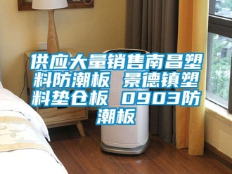常見問題供應(yīng)大量銷售南昌塑料防潮板 景德鎮(zhèn)塑料墊倉板 0903防潮板