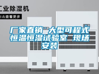 知識百科廠家直銷 大型可程式恒溫恒濕試驗室 現場安裝