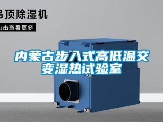 常見問題內(nèi)蒙古步入式高低溫交變濕熱試驗室
