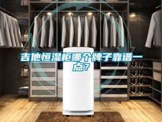 知識百科吉他恒濕柜哪個牌子靠譜一點？